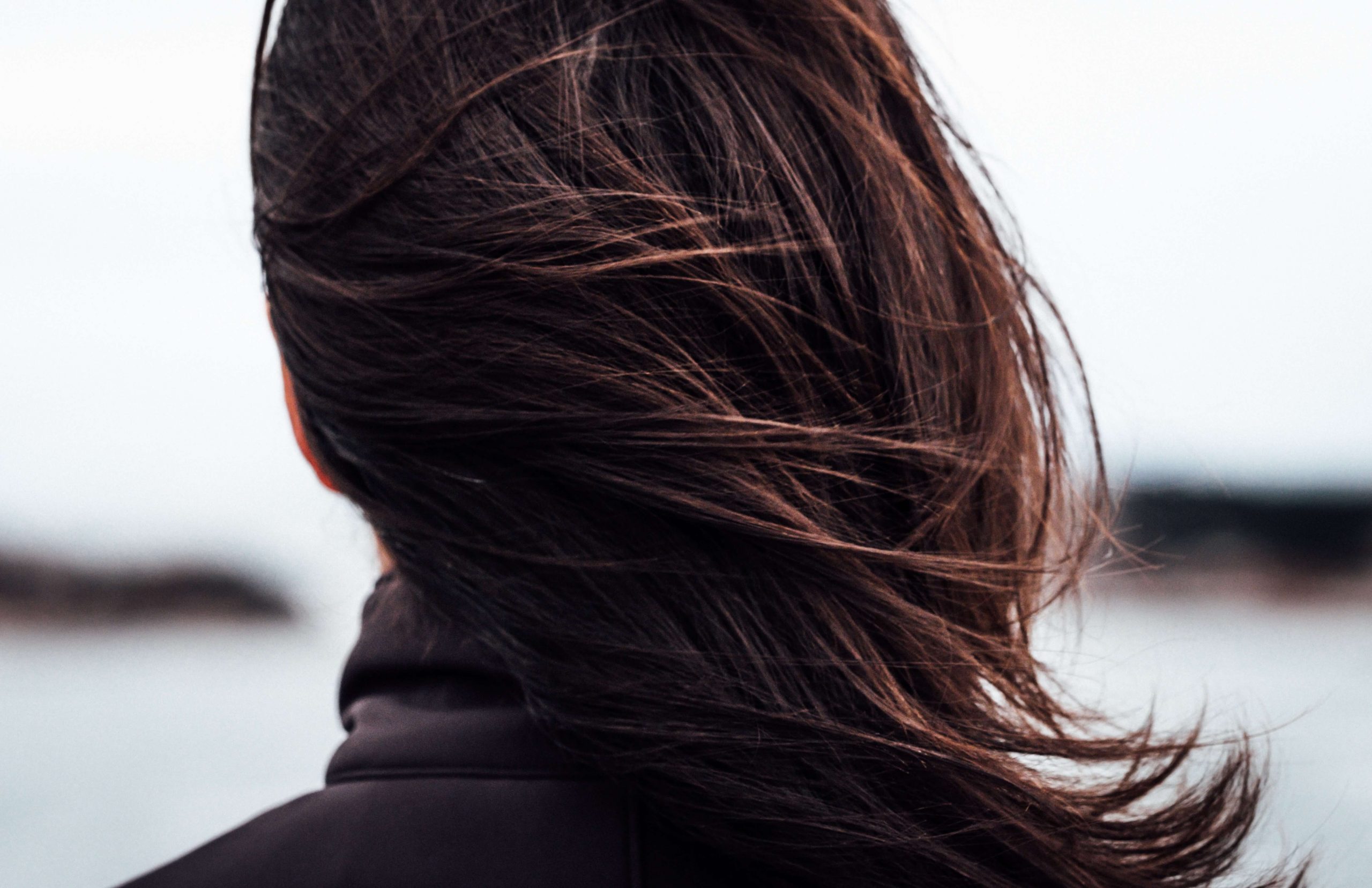 Facts about nits
