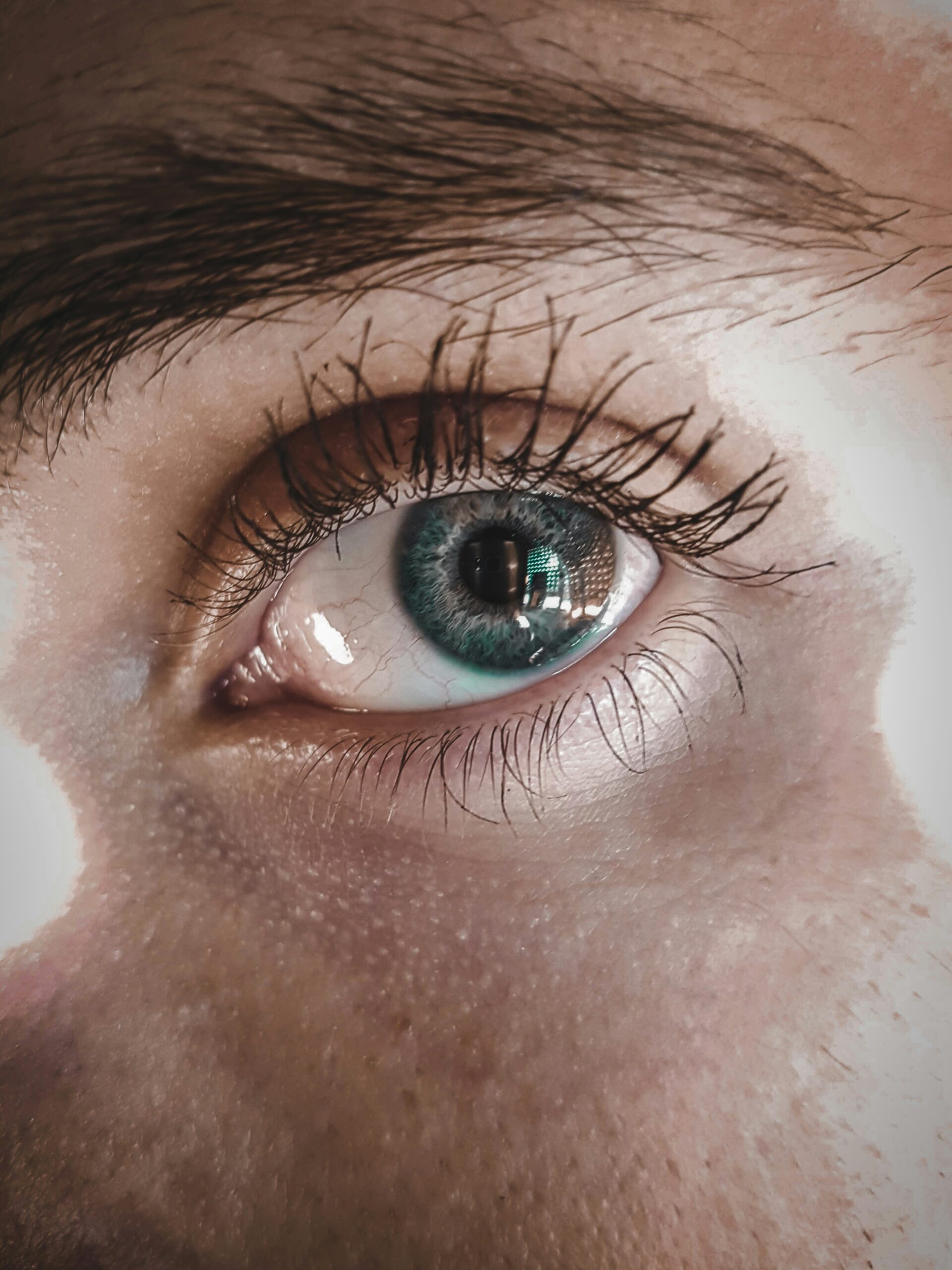 eyelashes